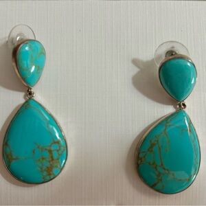 Turquoise and Sterling Silver earrings